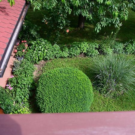 Apartment And Rooms Ivancica セリステ・ドゥレズニツコ エクステリア 写真