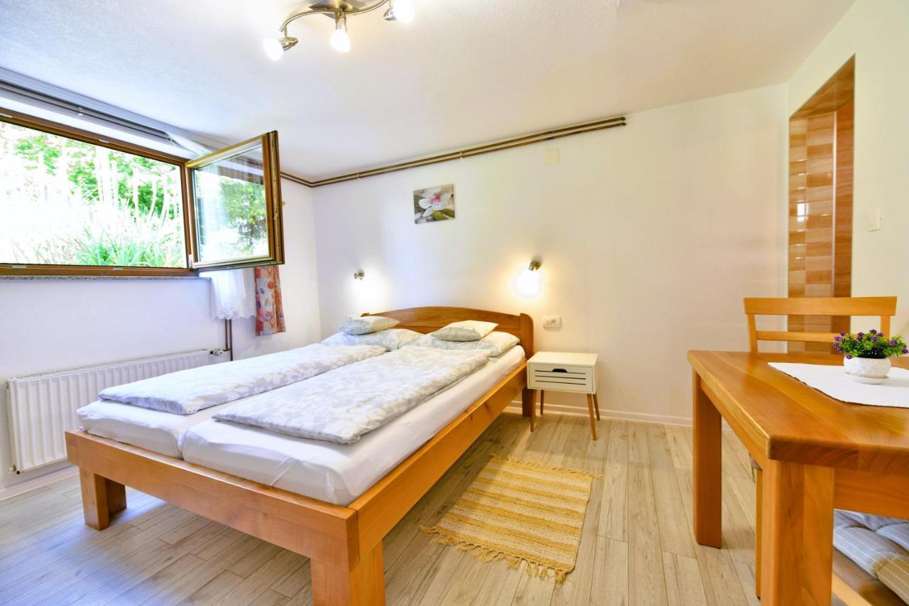 Apartment And Rooms Ivancica セリステ・ドゥレズニツコ エクステリア 写真